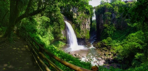 waterfall in forest