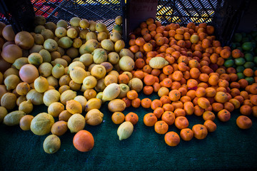 Assorted Citrus at Market