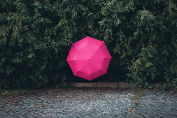 Pink umbrella in bush