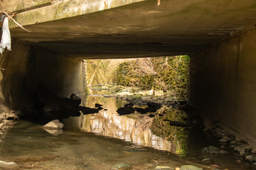 A Shallow Creek Flowing Unnder a Concrete Bridge Surrounded by Foliage and Rocks