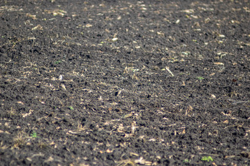 Plowed field in autumn day