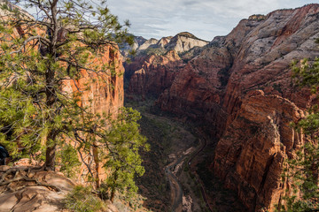 Beautiful view of the canyon from the top of Angels Landing, Zion National Park Utah USA.