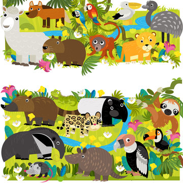 cartoon south america scene with different animals by the pond illustration