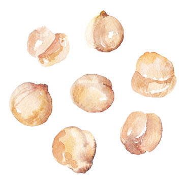 Watercolor hand painted chick peas illustration set isolated on white background