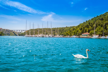 Swan and yachts at pier in Skradin in Krka National Park, Croatia. Sibenik bridge over Krka River with clear water on a sunny day.