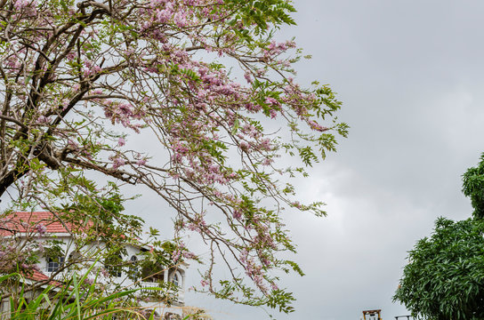 Quick Stick Branches With Flowers