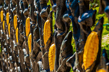 Corn Stalk Iron Fence New orleans 