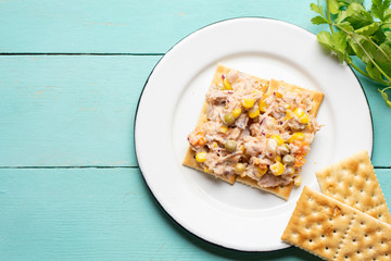 Tuna salad with mayonnaise on turquoise background