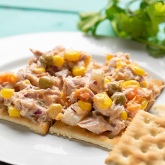 Tuna salad with mayonnaise on turquoise background