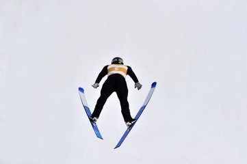 Winter Sport Ski Jump Jumping - obrazy, fototapety, plakaty