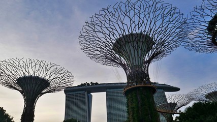 Singapore, Singapore - February 14 2020: In the evening at Gardens by the Bay