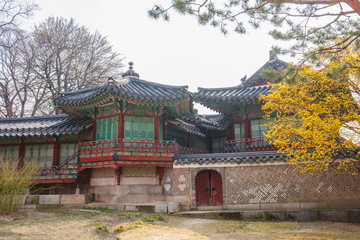 Changdeokgung Palace in Spring Seoul  South Korea