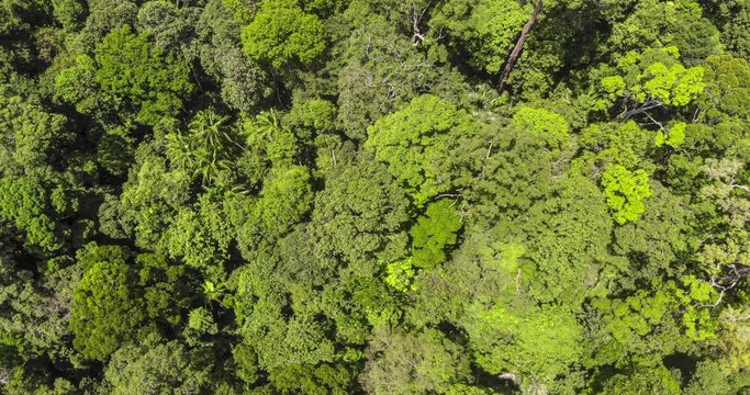 Fly over the Malaysian Rain forest - Jeram Toi Waterfall. aerial view of the Malaysian landscape. the jungle of Malaysia, a birds eye view captured with a drone