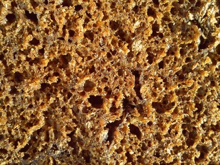 brown rye bread close-up. Healthy food with vitamins, minerals, bran and seeds. High-quality baked...