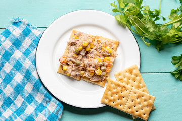 Tuna salad with mayonnaise on turquoise background