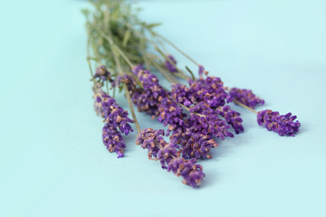 bouquet of fragrant lilac lavender on a blue background, festive concept, aromatherapy, close-up, copy space