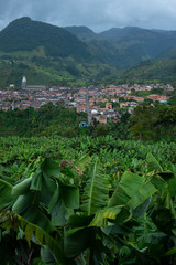 Fototapeta premium View of the City, Vegetation, Architecture, Land and Crops