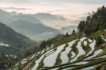 Global agricultural development, China's arable land and water conservancy projects.