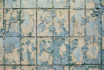 Looks like mose, but it's an old paint