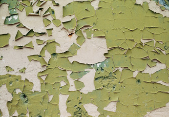 A wall that doesn't need a renovation