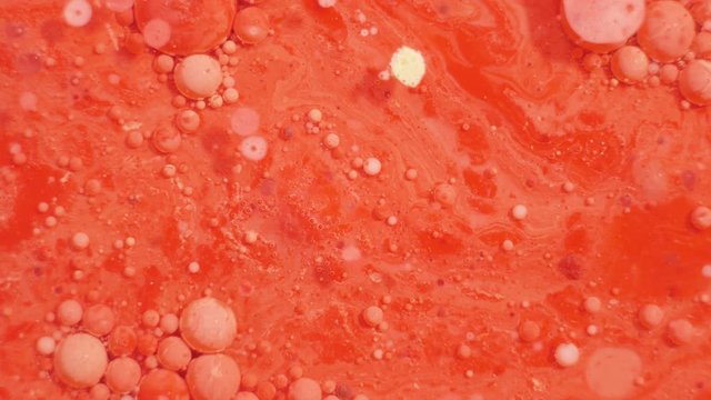 Colorful acrylic paints mix in beautiful patterns. Oil Inks of coral, orange, red and other colors spread over the surface and mix, creating amazing textures and design. Abstract bubbles