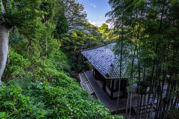 Panoramic view of  Hase-dera temple in Kamakura, surrounded by beautiful green woods during summer, Japan