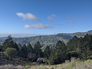 Fototapeta premium Marin Headlands