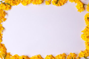 Yellow flower on white backdrop with copy space.top view