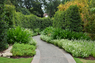 path in the garden