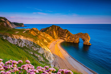 Jurassic coast thrift and Durdle Door in Dorset at sunset