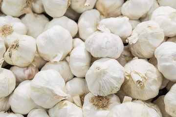 A pile of white garlic