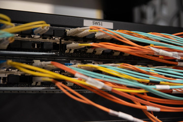 orange and green optic fiber cables connected to the switch