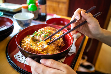 日本の丼もの　カツ丼