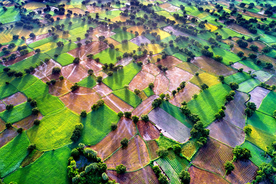 aerial view of rice fields in Mekong Delta, Tri Ton town, An Giang province, Vietnam. Ta Pa rice field.
