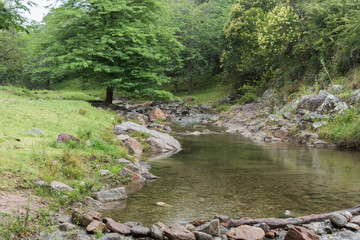 Summer landscape, small creek in Cordoba, Argentina