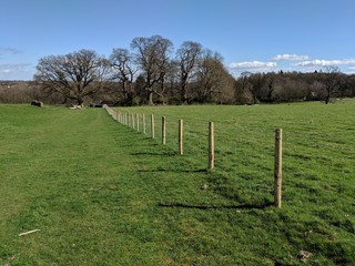 Fototapeta premium Fence On Right