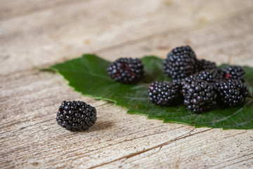 Zarzamora fruto silvestre