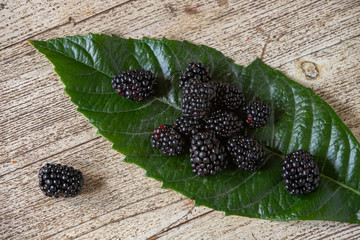 Zarzamora fruto silvestre