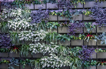 living plant wall in an atrium