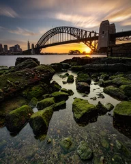 Sydney Harbour Sunsets © Brendon @btellus