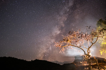 The stars and the milky way in the dark sky at night are very beautiful.