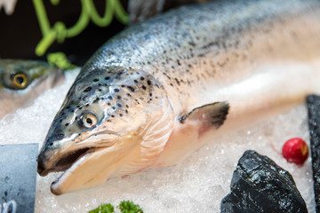Fresh salmon on ice in supermarket