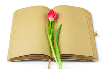 Blank open diary (notebook, sketchbook) decorated with spring red tulips with space for text or lettering. Concept of writing letter, wishes, goals, plans, life story. Flat lay mockup