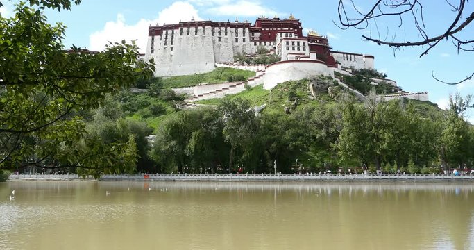 4k Potala in Lhasa-Tibet.lake with willow in lasa park.