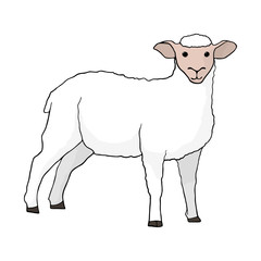 Sheep. One of the symbols of farm, country and village. Template for icon, sticker or part of garland. Vector illustration.