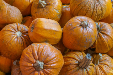 pumpkins texture