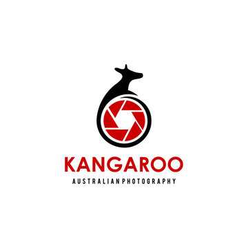 Kangaroo animal vector logo design photography template.