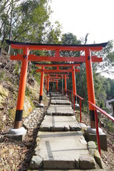 京都の神社の風景