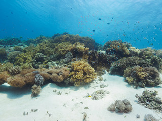 Shallow water at Atauro Island