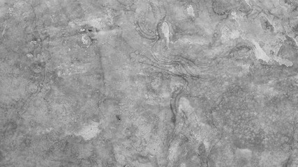 white concrete background. abstract cement wall